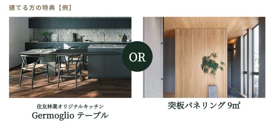 住友林業_紹介
